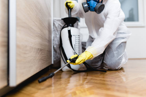 Best Pest Inspection Near Me  in Laingsburg, MI