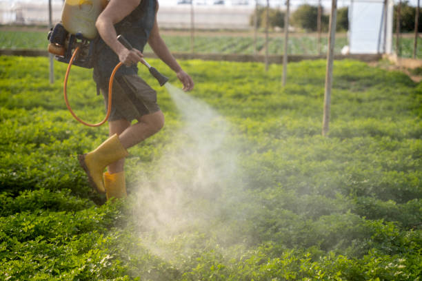 Best Pest Control Near Me  in Laingsburg, MI