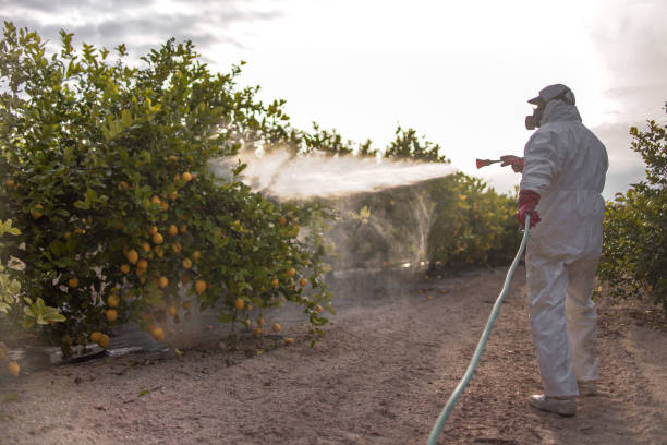 Best Best Pest Control Companies  in Laingsburg, MI