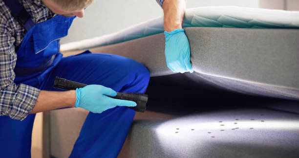 Best Best Pest Control Companies  in Laingsburg, MI
