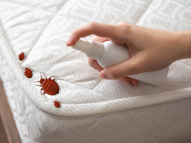Best Exterminator Services  in Laingsburg, MI