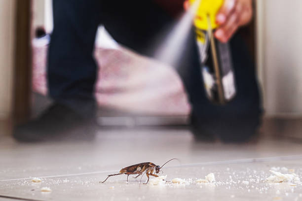 Best Flea Control Services  in Laingsburg, MI