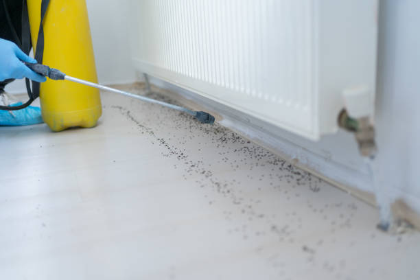 Best Rat Extermination Near Me  in Laingsburg, MI