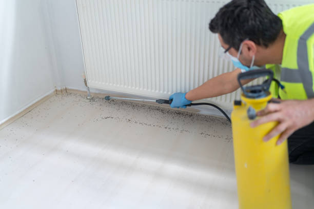 Best Affordable Pest Control Services  in Laingsburg, MI