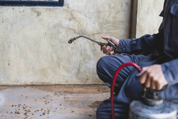 Best Pest Control for Restaurants  in Laingsburg, MI