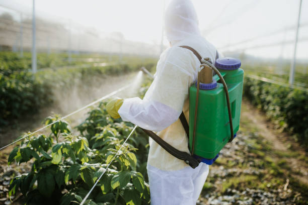 Pest Prevention Services in Laingsburg, MI
